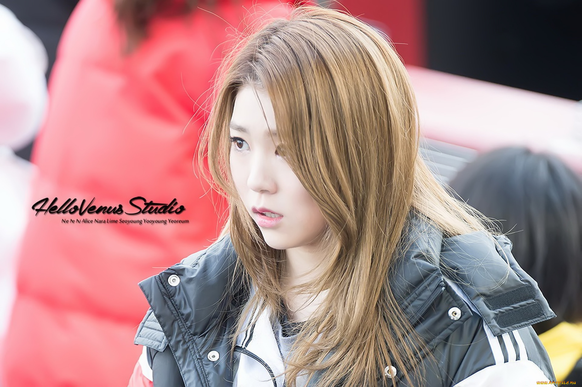 hello-venus, , -, 